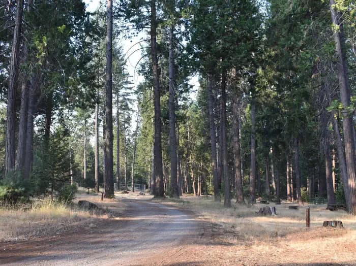 Dru Barner Campground in California