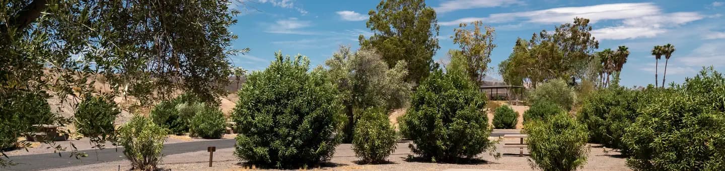 Callville Bay Campground campground in Nevada