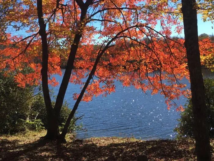 Julian Price Campground campground in North Carolina