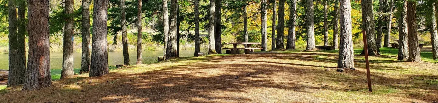 SCHWARZ PARK campground in Oregon