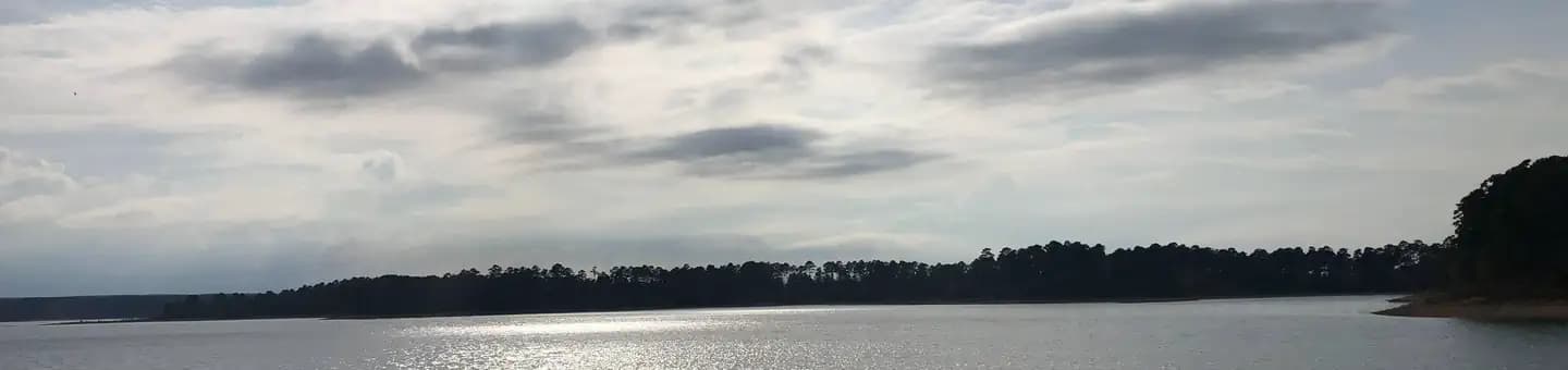 ARLIE MOORE campground in Arkansas