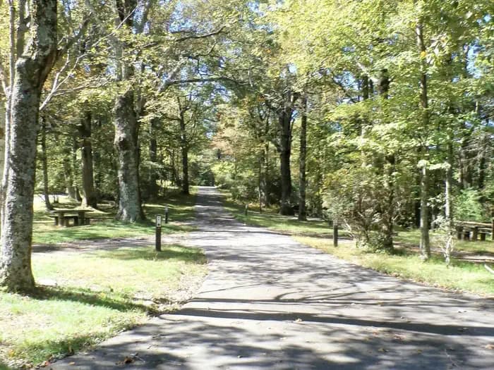 Doughton Park Campground campground in North Carolina
