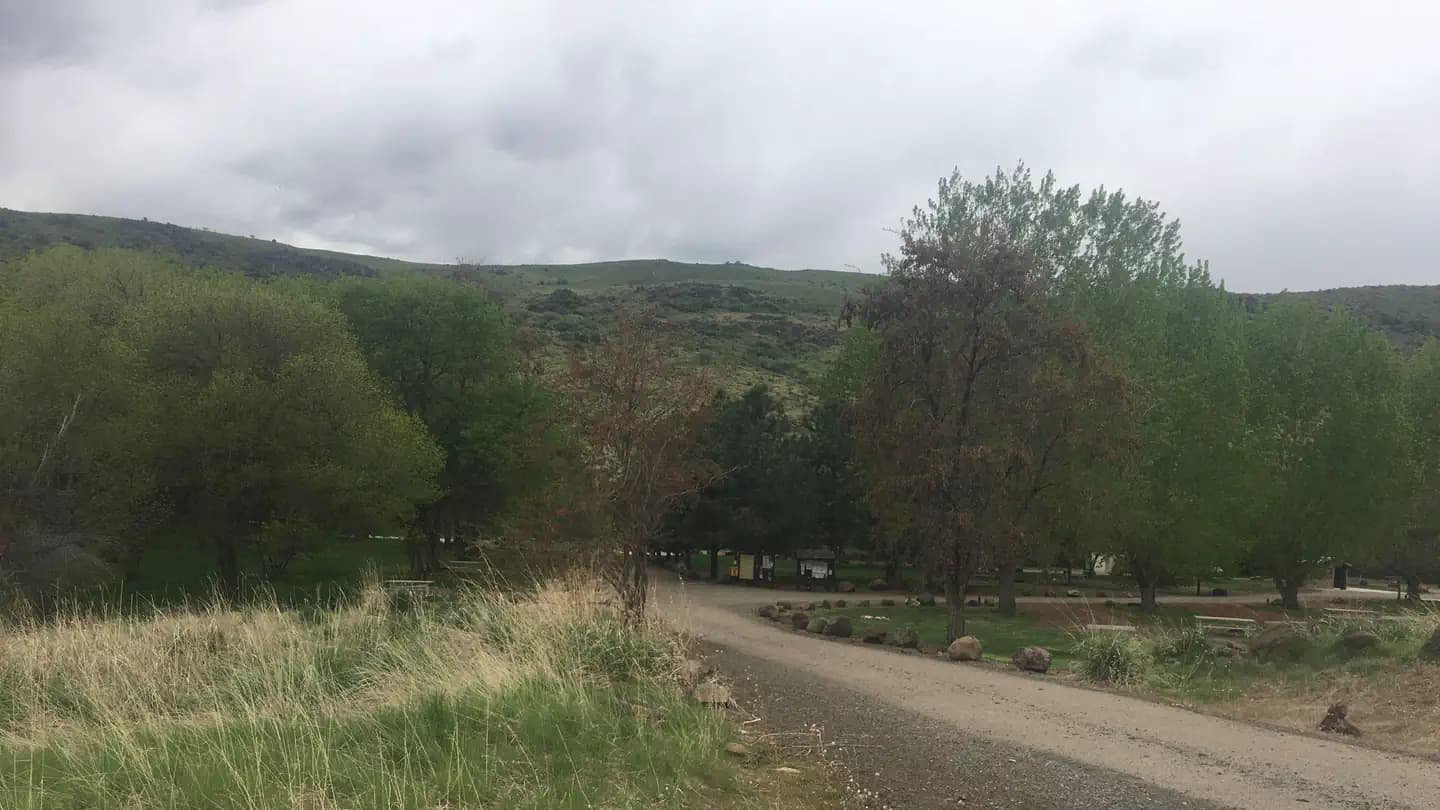 MANN CREEK CAMPGROUND campground in Idaho