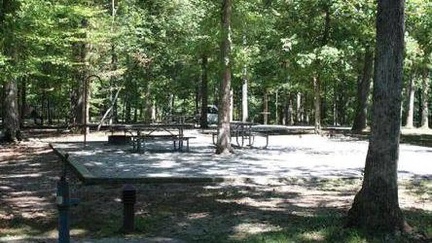 MAMMOTH CAVE CAMPGROUND campground in Kentucky