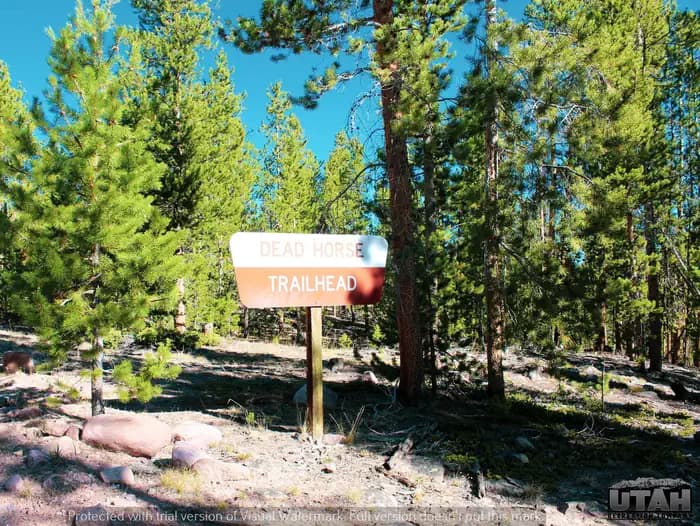 Deadhorse Trailhead Campground in Utah