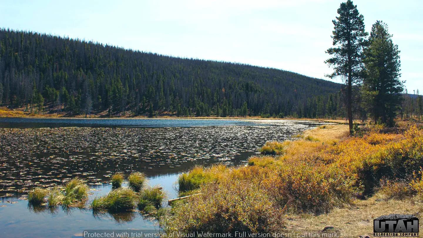 BRIDGER LAKE CAMPGROUND campground in Utah
