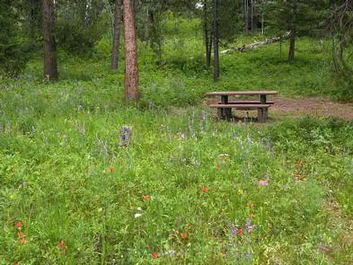 BEAVER CREEK CAMPGROUND campground in US