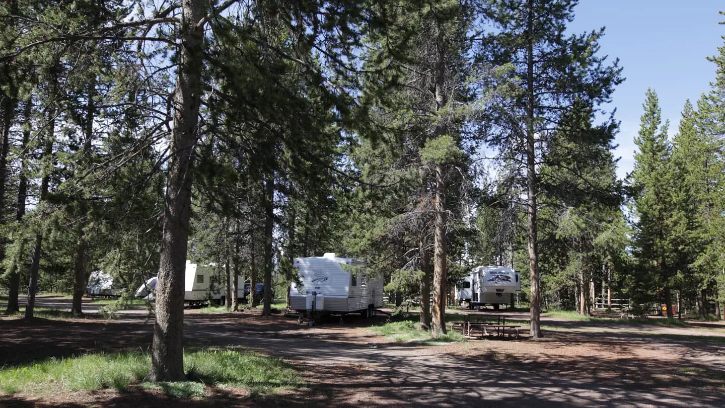 Headwaters Campground at Flagg Ranch campground in Wyoming