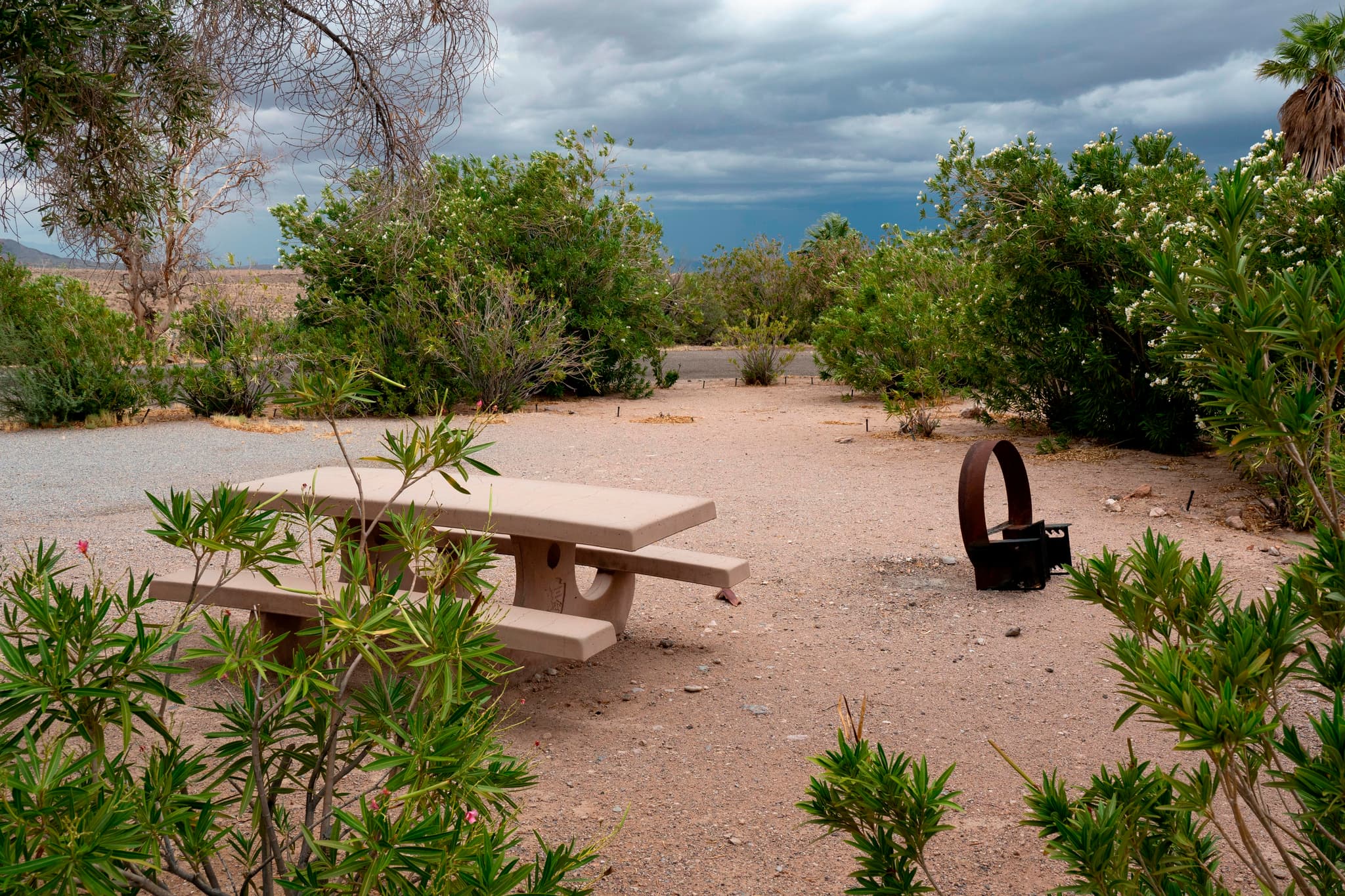 Echo Bay Campground campground in Nevada
