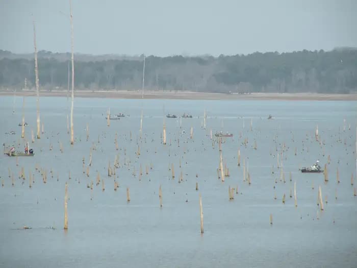 WATER VALLEY LANDING campground in Mississippi