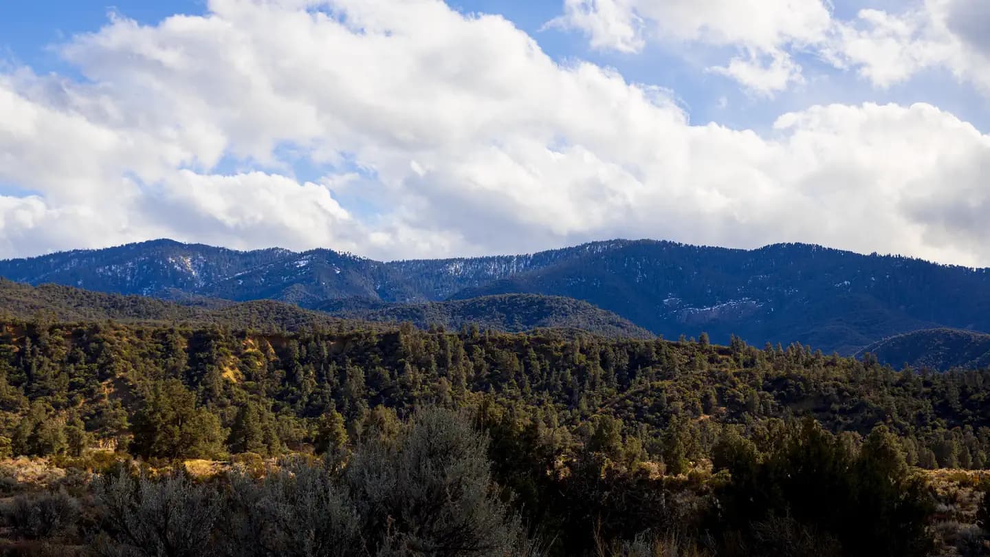 REYES CREEK CAMPGROUND campground in US