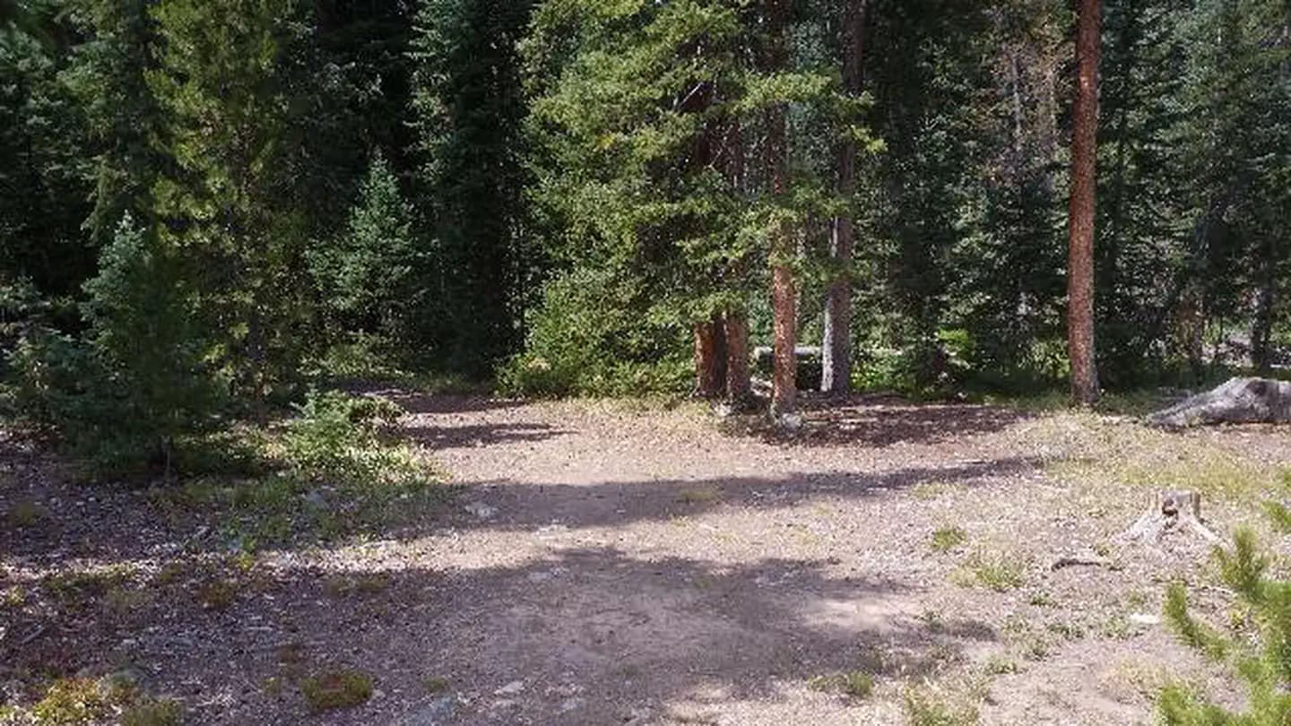 South Fork Group Site - Arapaho NF (CO) campground in Colorado