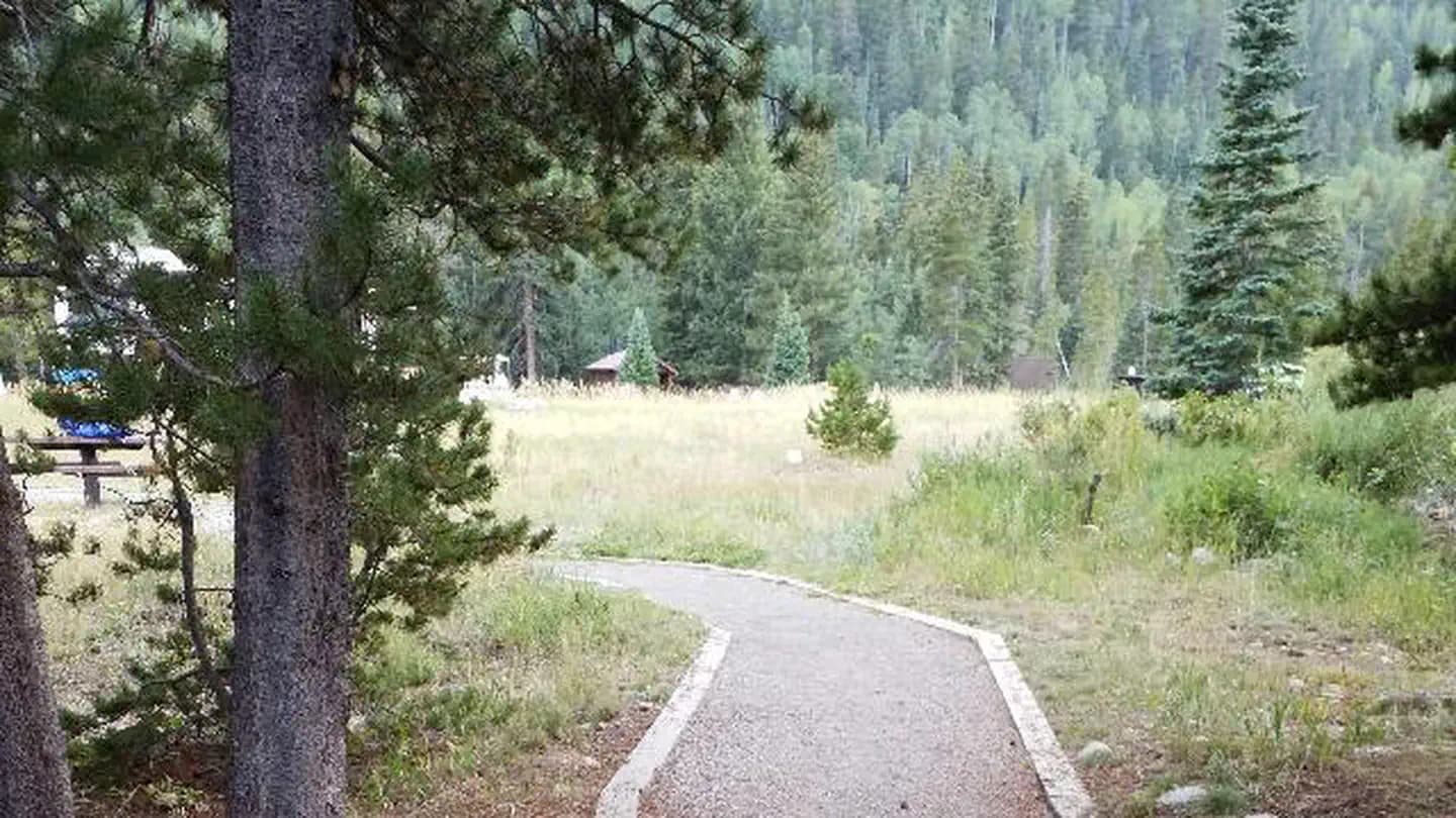 Camp Dick Campground in Colorado