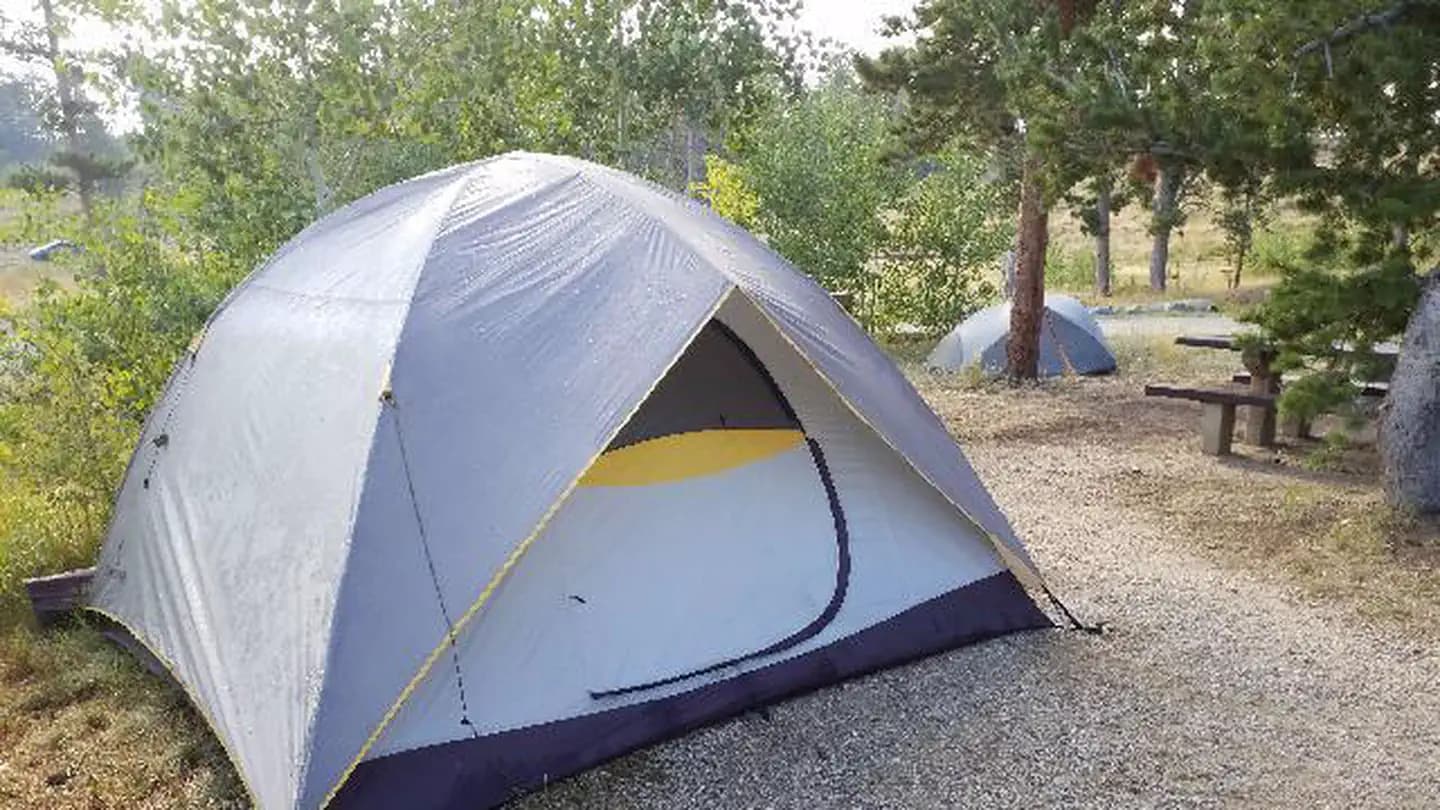 KELLY DAHL campground in Colorado