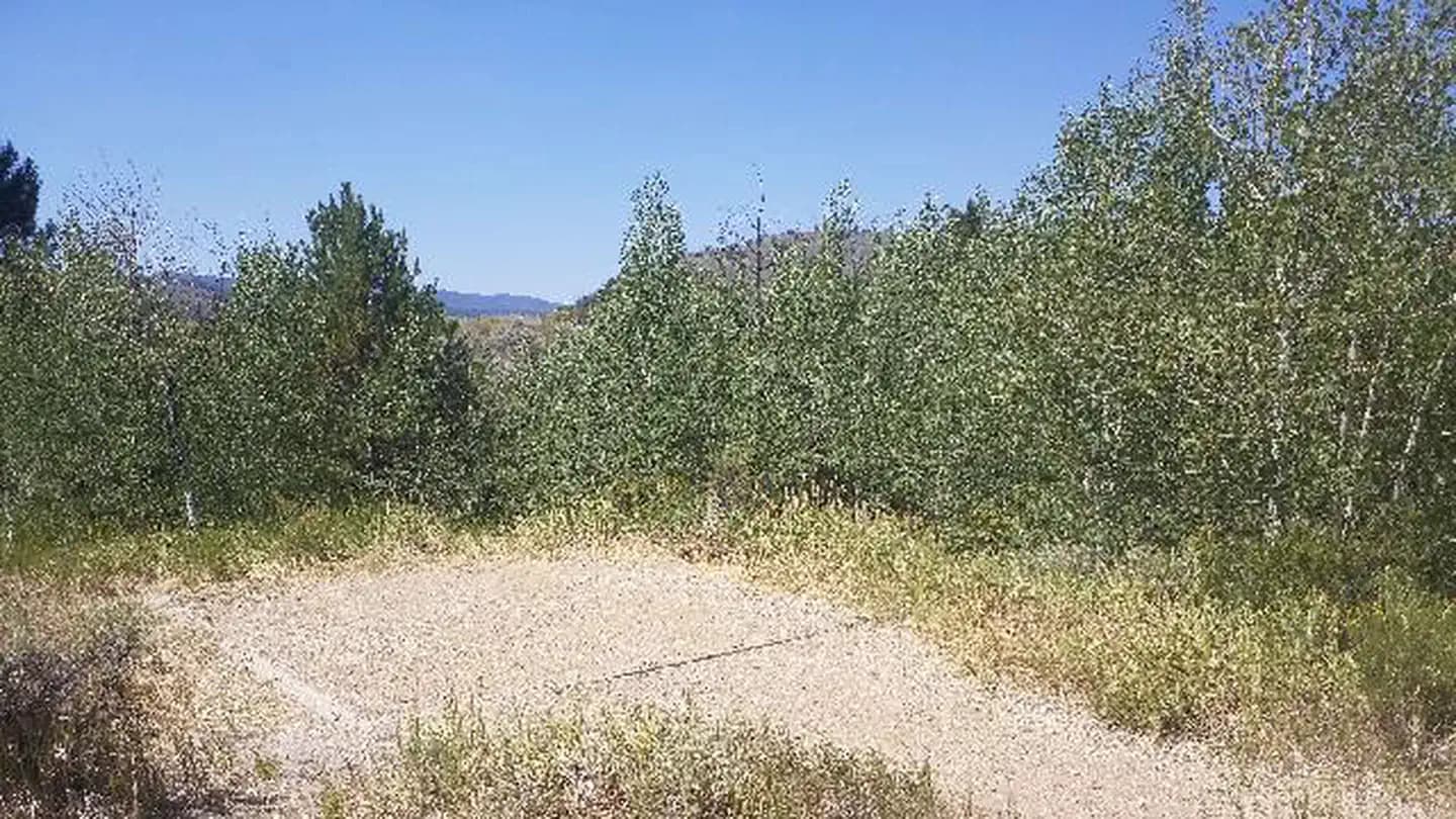 WILLOW CREEK GROUP campground in Colorado