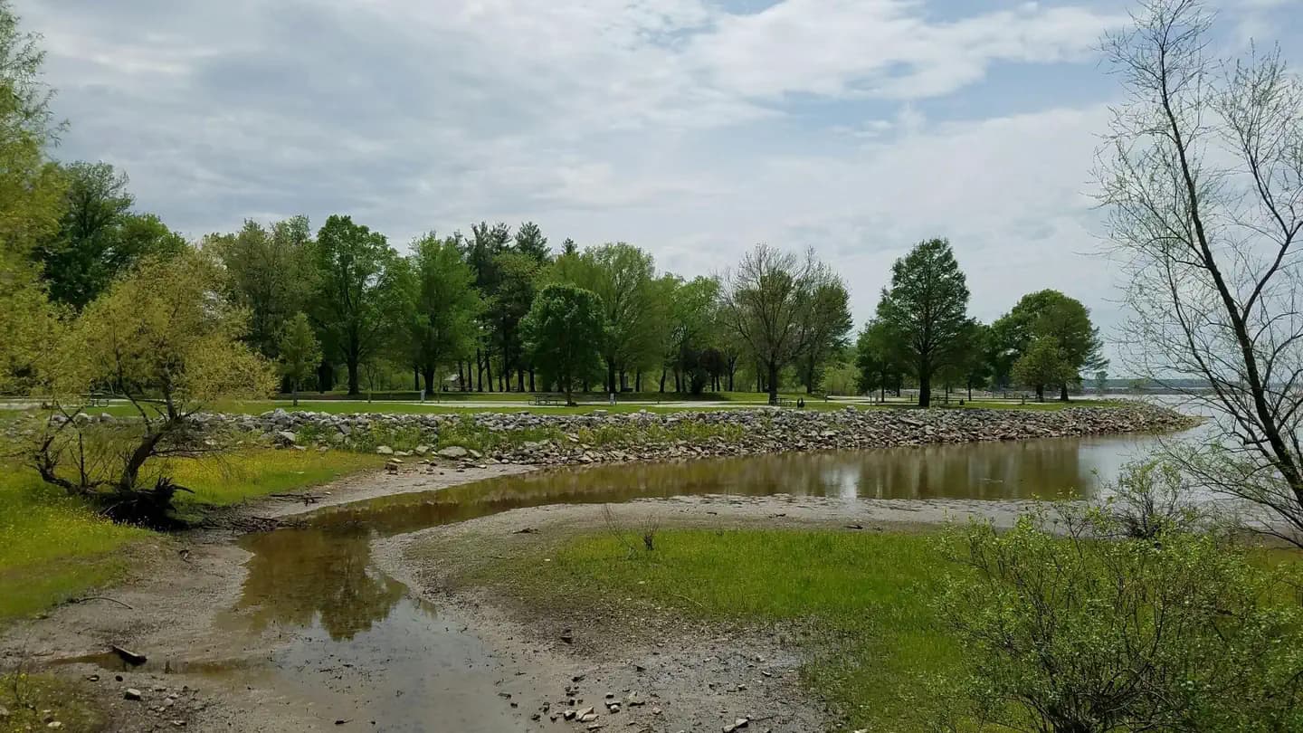 Coles Creek Campground campground in Illinois