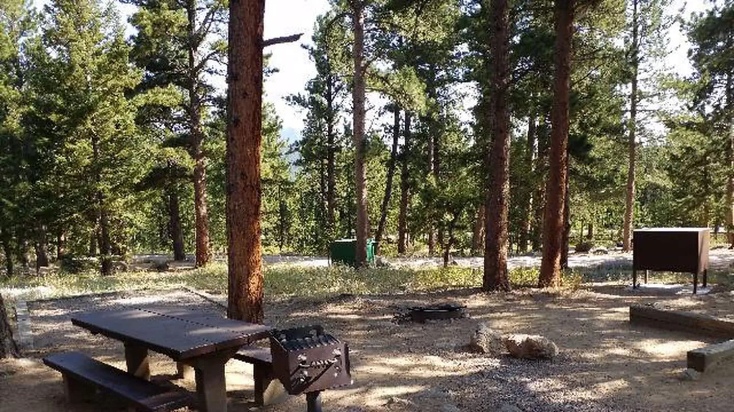 OLIVE RIDGE campground in Colorado