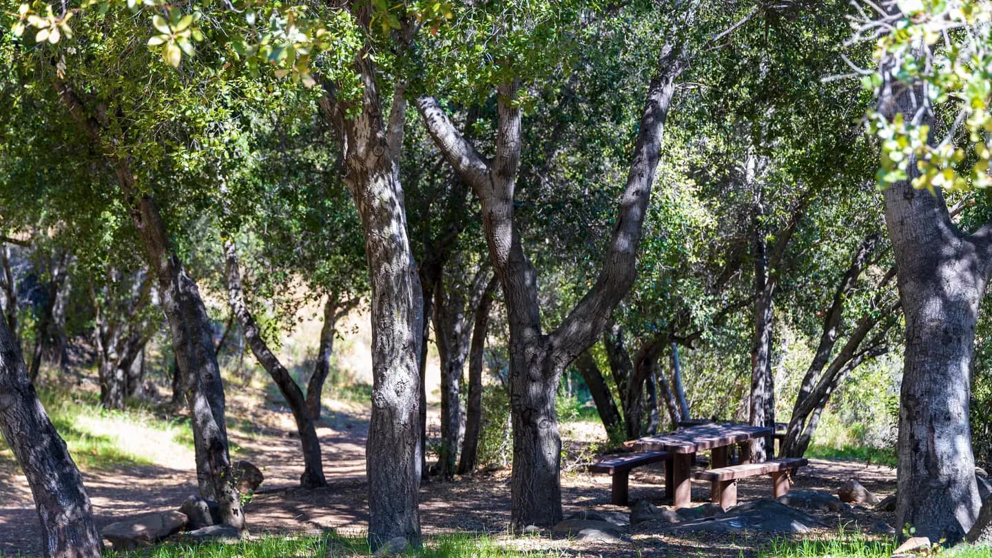 HOLIDAY GROUP CAMPGROUND campground in California