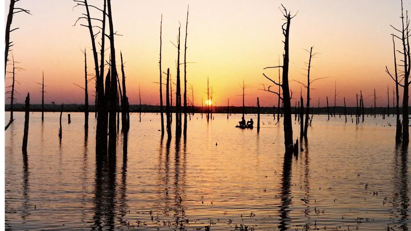 Pat's Bluff Day Use Campground in Mississippi