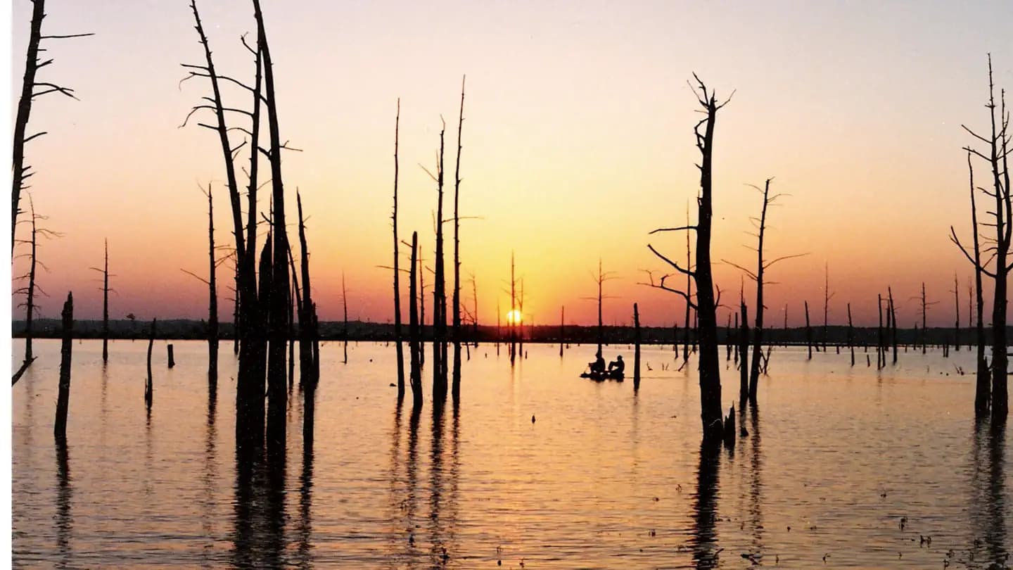 Clear Creek Day Use Area (Ms) Campground in Mississippi