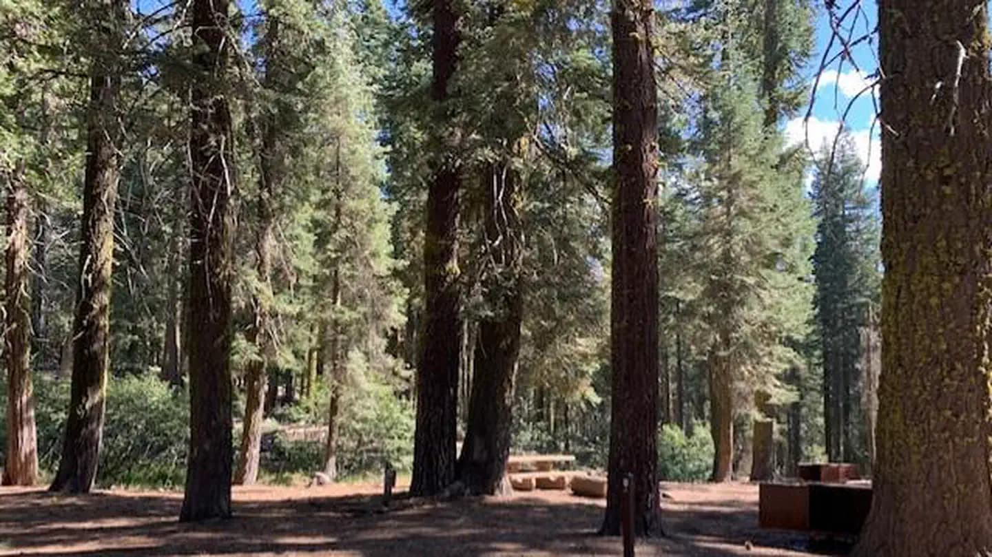 Warner Valley Campground campground in California