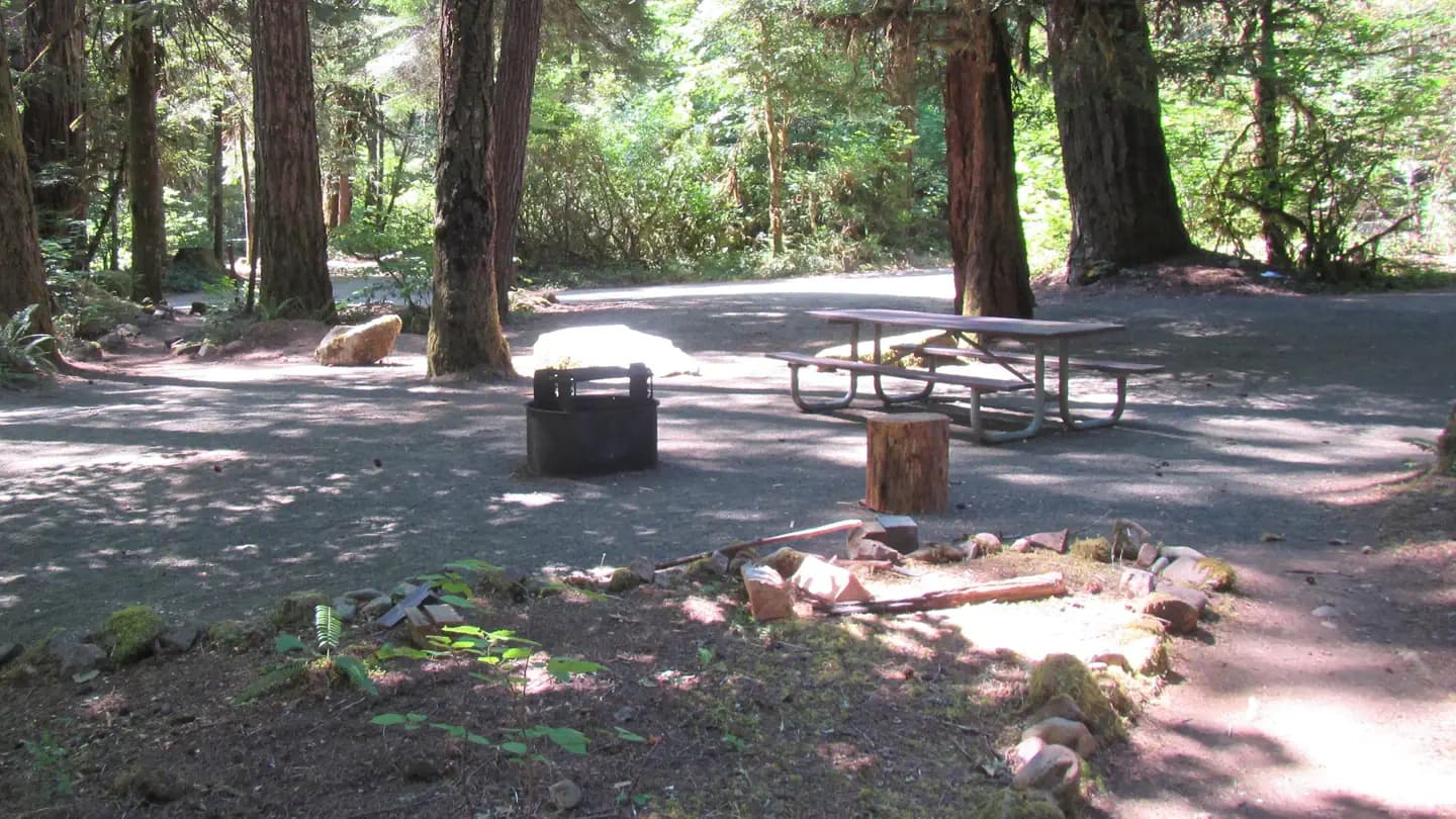 Scaredman Recreation Site campground in Oregon
