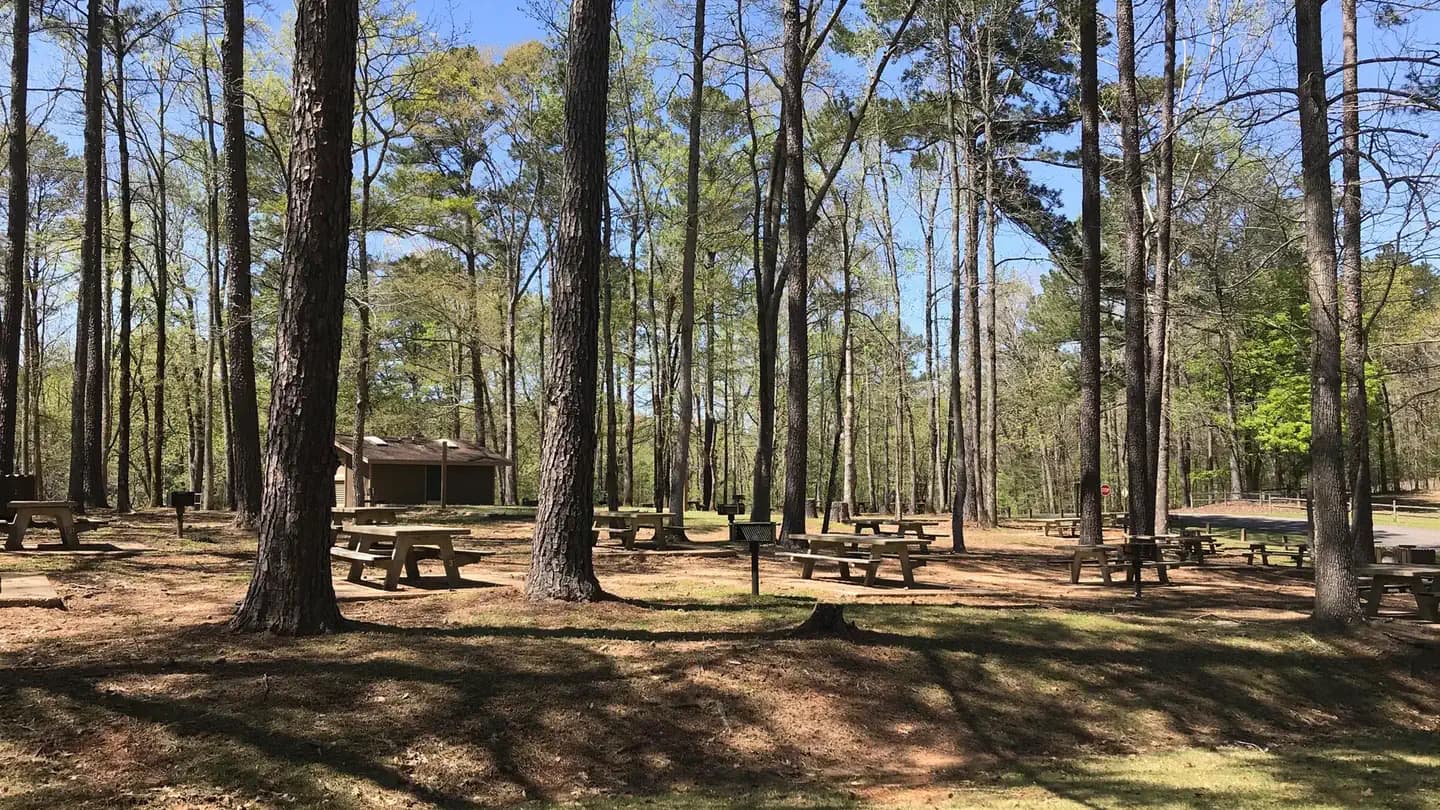 Rocky Branch Day Use Park Campground in Alabama