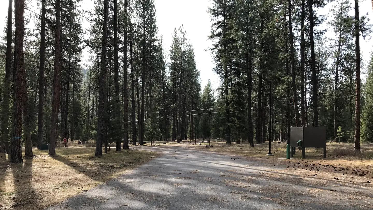 Quartz Flat Campground (MT) campground in Montana
