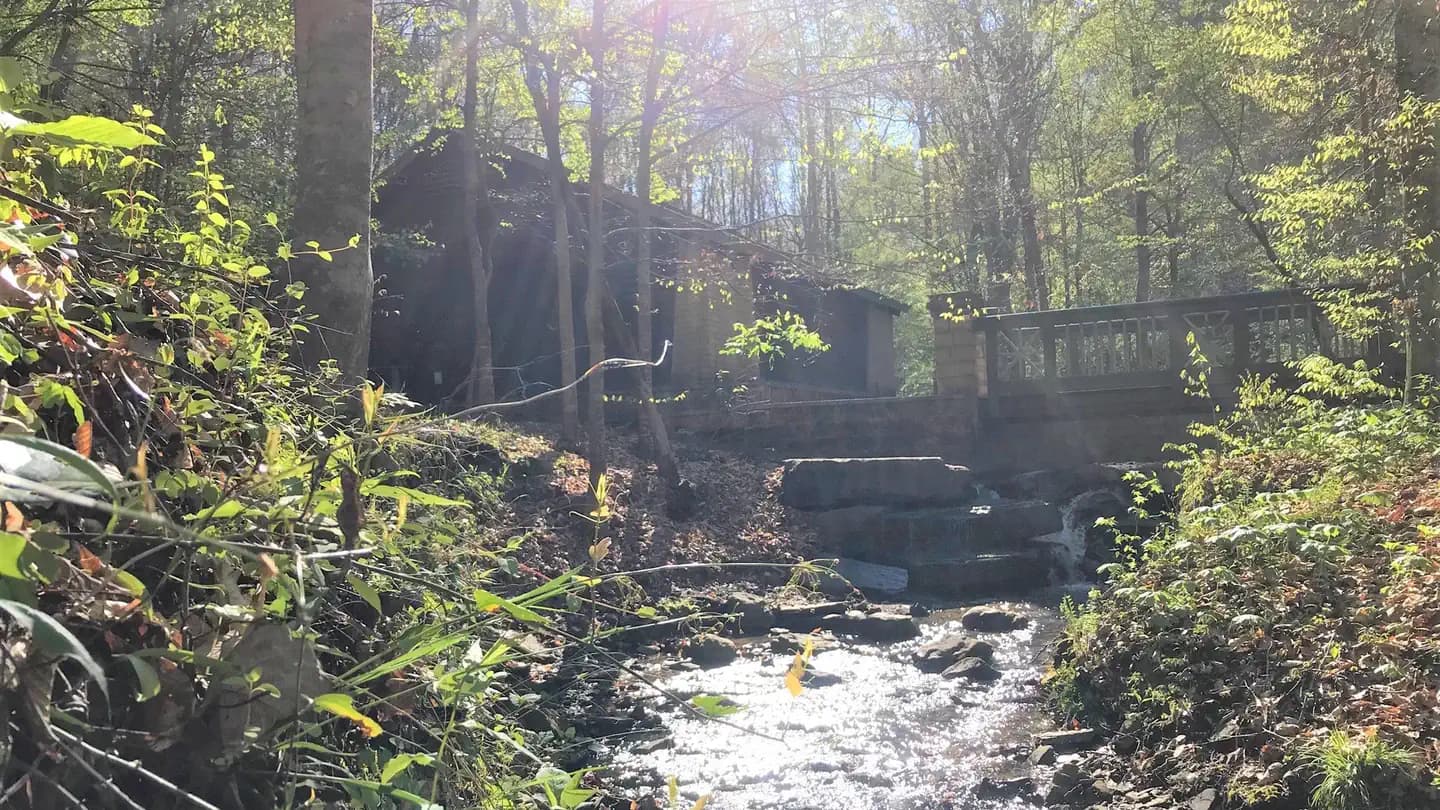 BURCHFIELD BRANCH PARK campground in Alabama