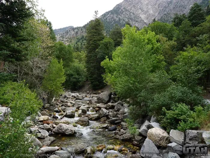 Birches Picnic Area in Utah