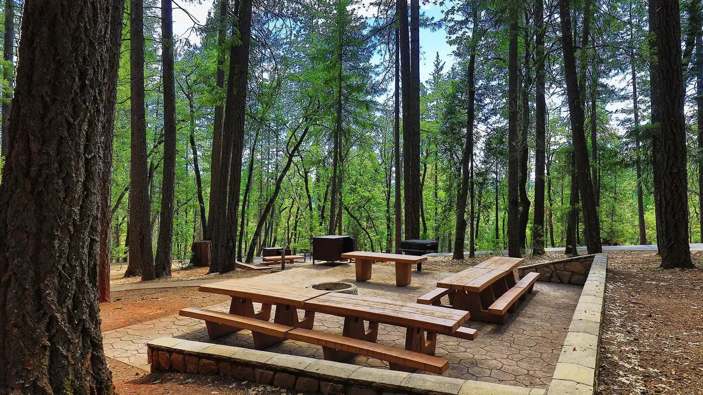 BUSHYTAIL campground in California