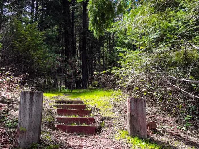 MARY SMITH CAMPGROUND campground in California