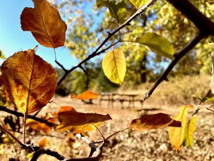 NELSON POINT campground in California