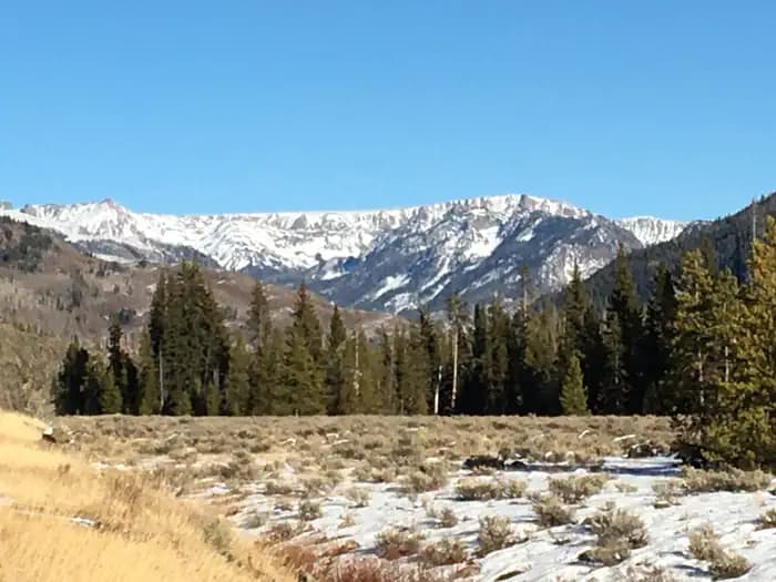 Seedhouse Group Site - Medicine-Bow Routt NF (CO) campground in Colorado