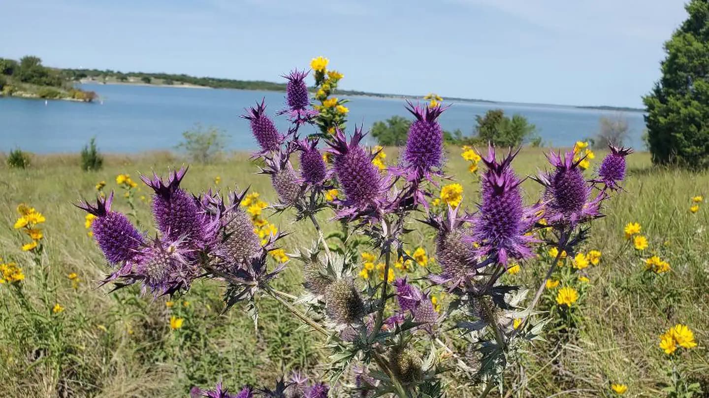 EAST FORK (TX) campground in Texas