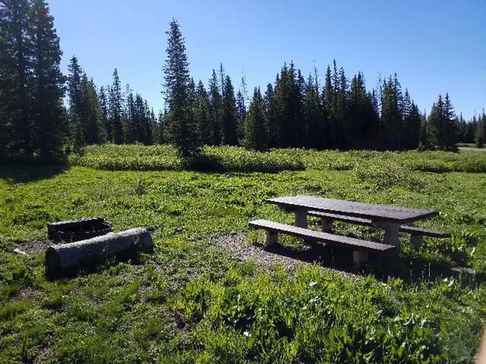 DUMONT CAMPGROUND campground in Colorado