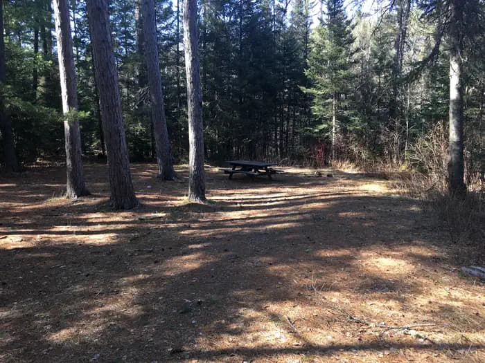 Little Isabella River Campground campground in Minnesota