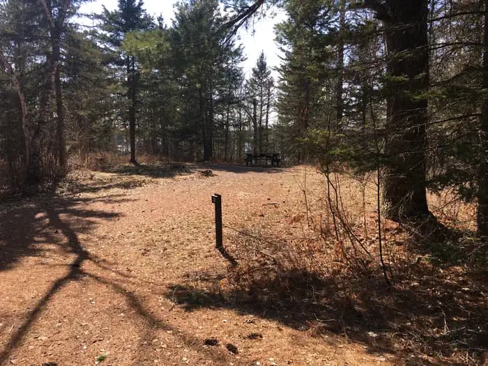 McDougal Lake Campground campground in Minnesota