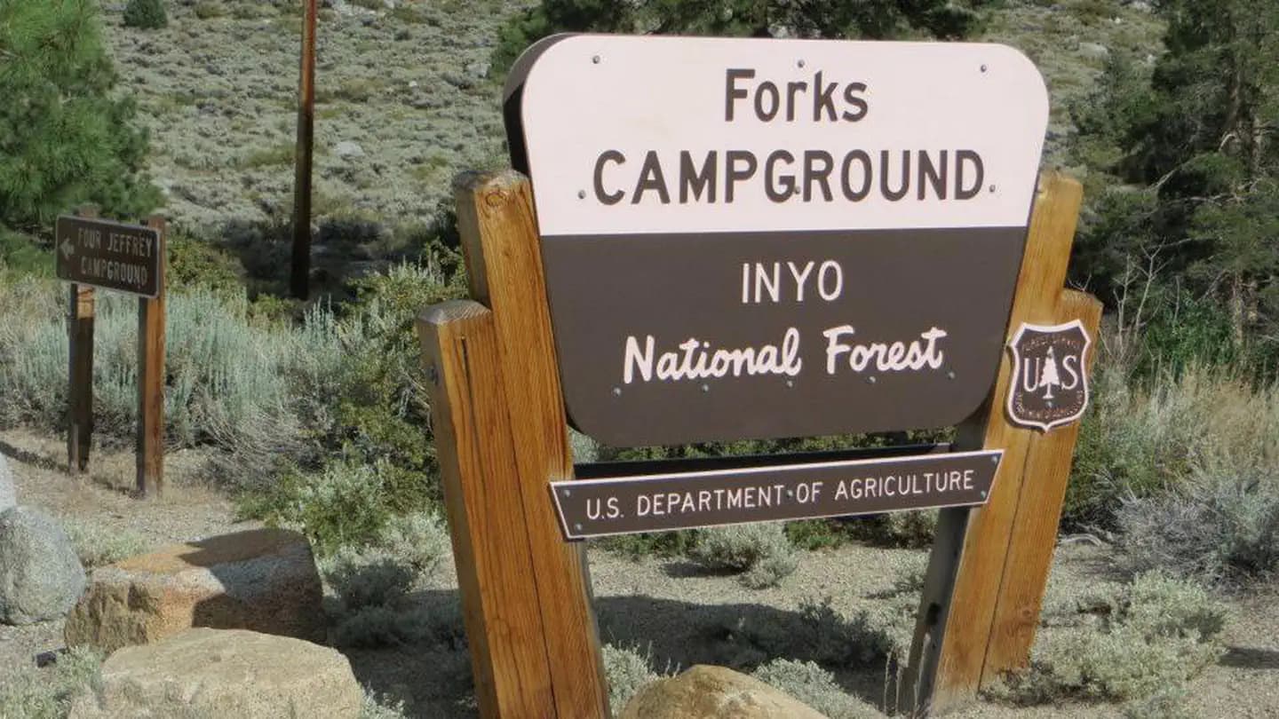 Forks Campground (Inyo) in California