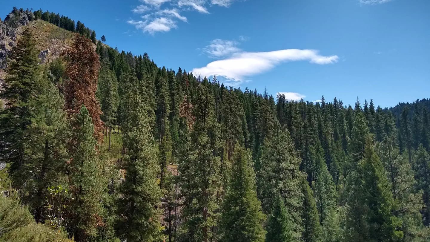 DEER PARK CABIN campground in Idaho