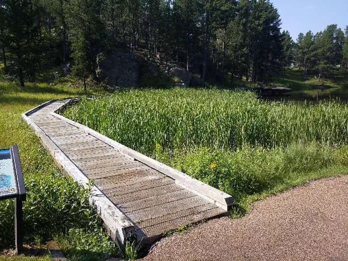 Bismark Lake campground in South Dakota