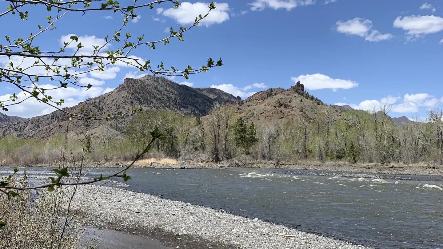 WAPITI CAMPGROUND campground in Wyoming