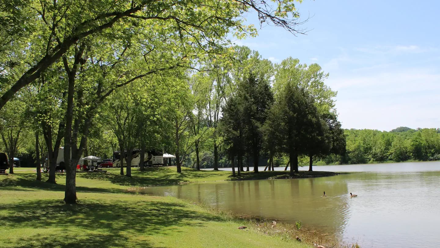 SALT LICK CREEK campground in Tennessee