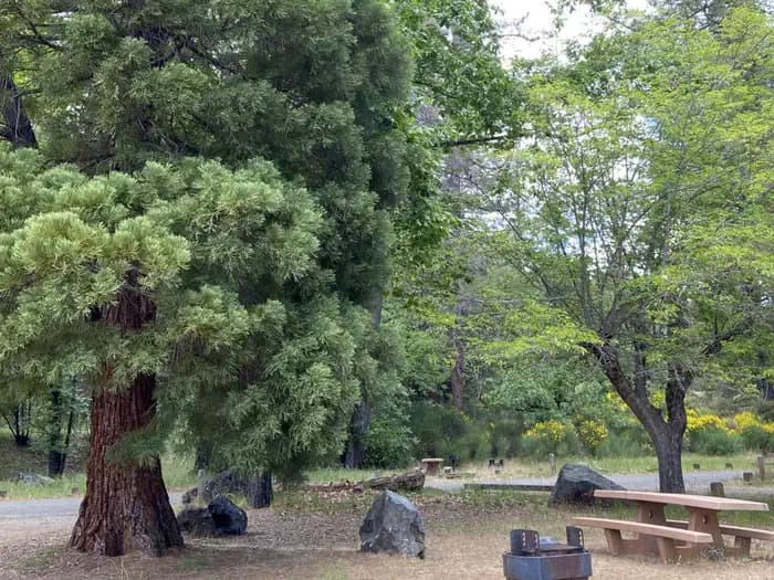 ACKERMAN CAMPGROUND campground in California