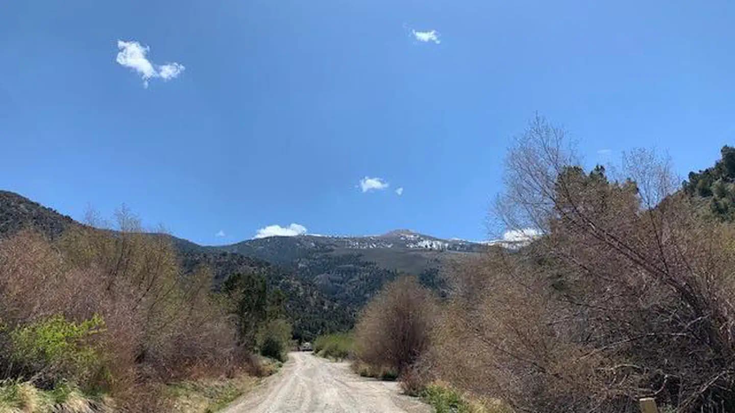 Bird Creek Campground campground in Nevada
