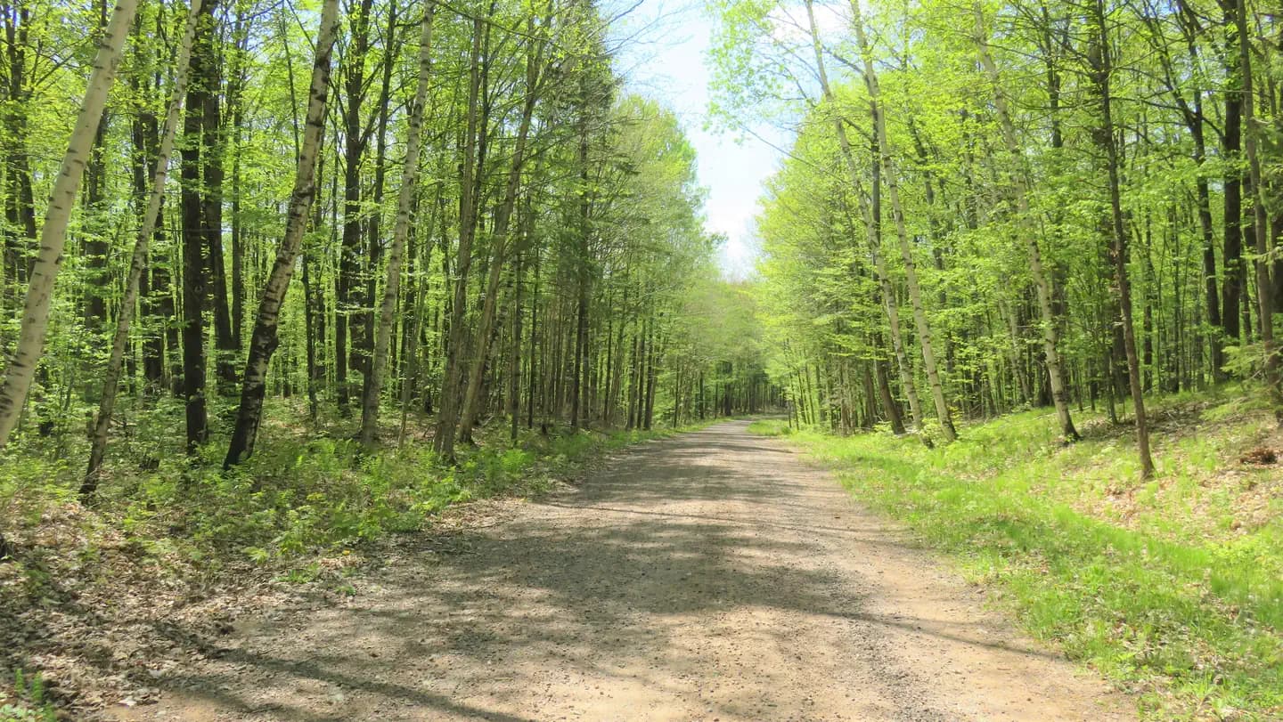 EASTWOOD campground in Wisconsin
