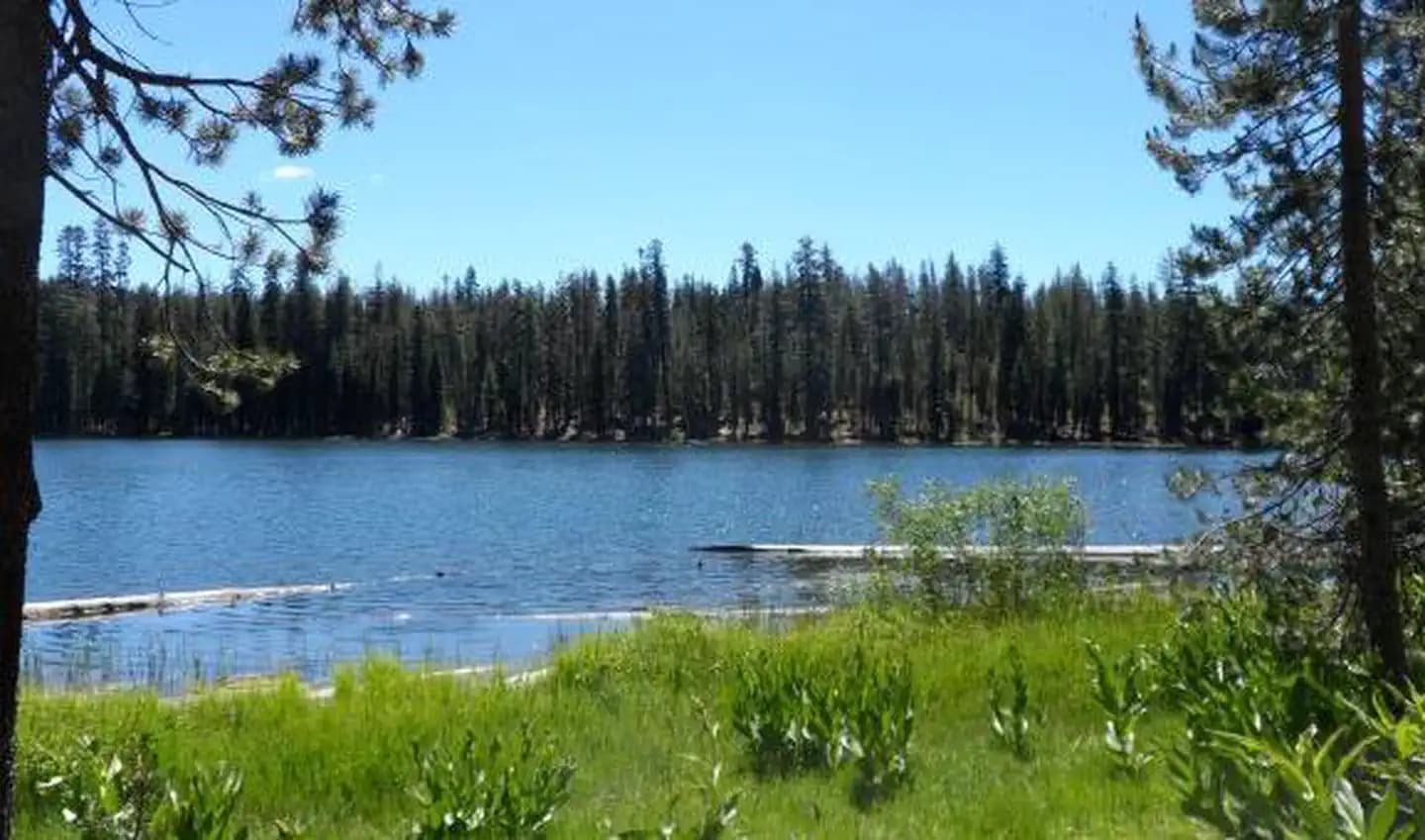 SUMMIT LAKE SOUTH campground in California