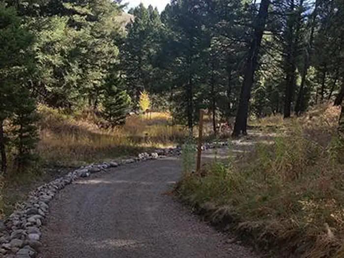 STODDARD CREEK CAMPGROUND campground in Idaho