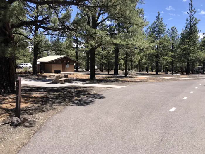 Bonito Campground (AZ) campground in Arizona