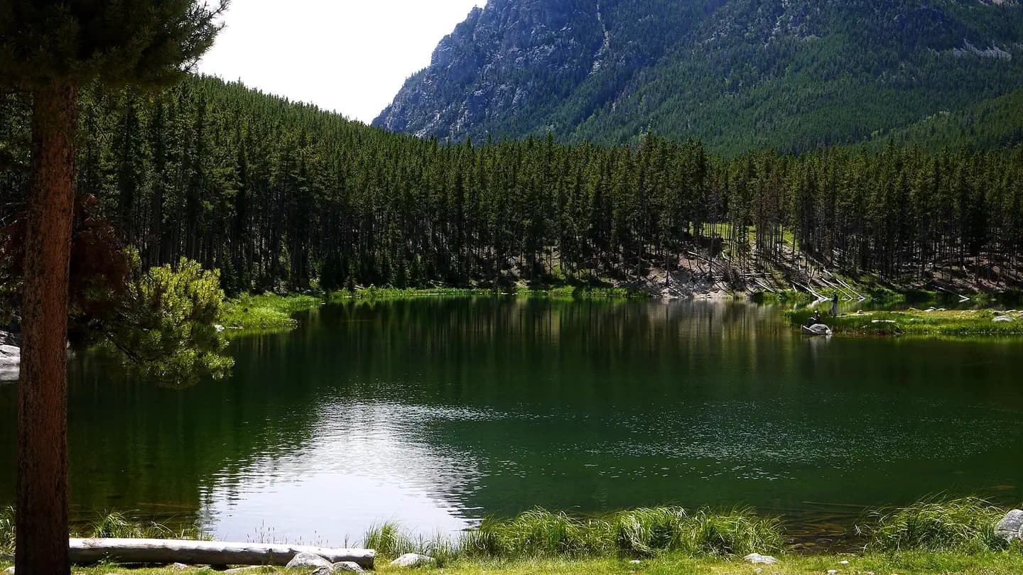 GREENOUGH LAKE campground in Montana